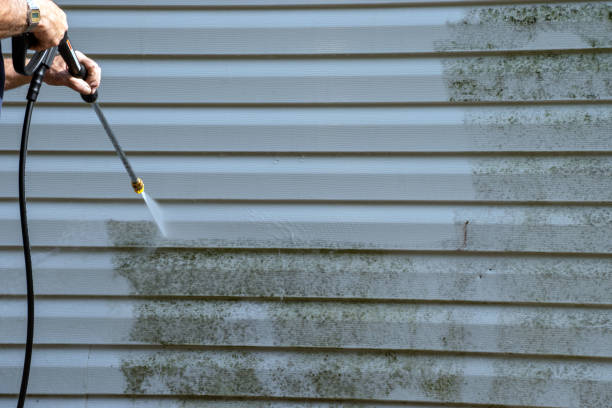Same-Day Junk Removal Services in Lake City, AR